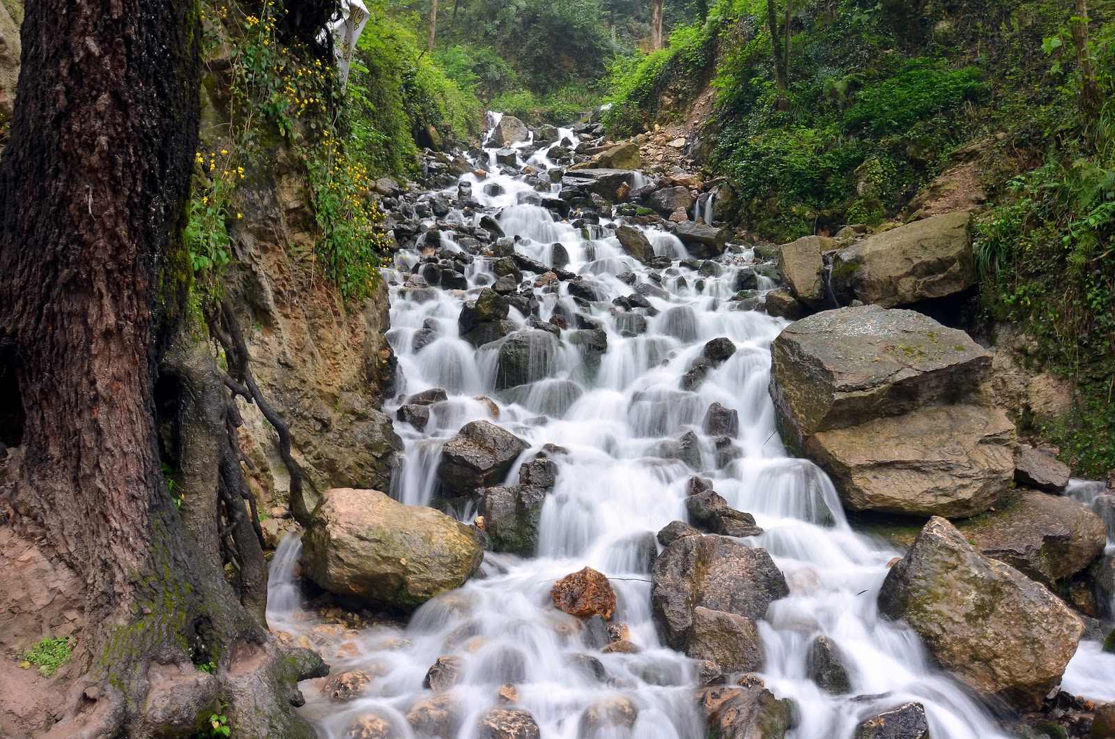 آبشار آب پری (رویان)